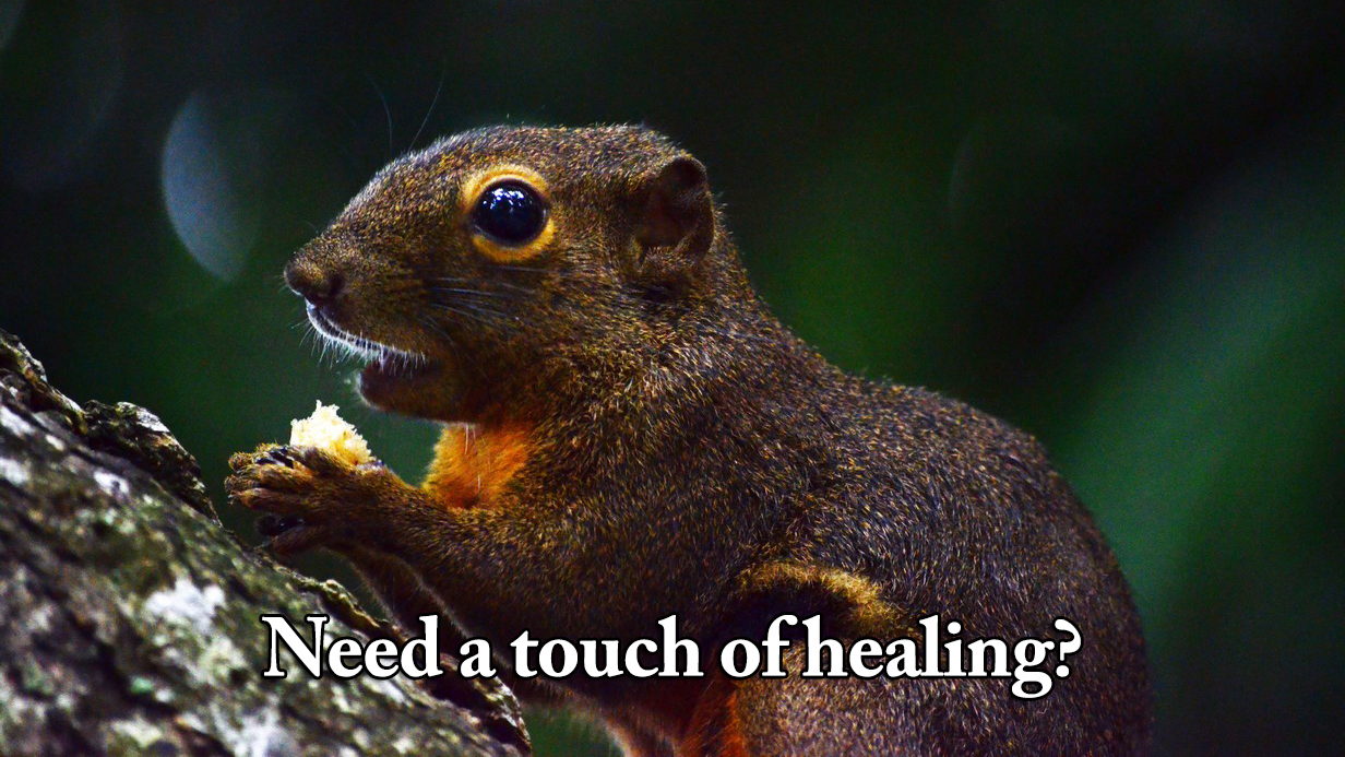 Do you need a touch of inner healing?