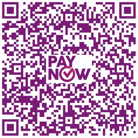 paynow